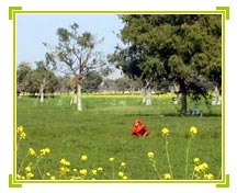 Agriculture, India Tourism