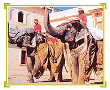 Festivals of India, India Tourism