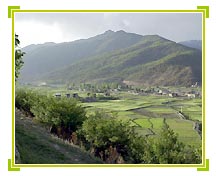 Paro Valley, Bhuta Tours & Travels