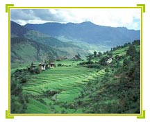 Punakha, Bhutan Tours & Travels