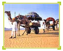 Rajasthan Travel Holidays