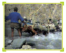 Markha River, Ladakh Travel Holidays
