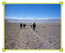 Trekking, Ladakh  Tourism