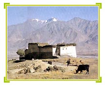 Zanskar, Ladakh  Travel Vacations