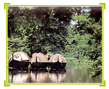 Backwaters, Kerala Tourism