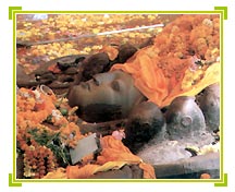 Buddha Nikantha, Nepal Tourism