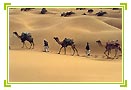 Flavor of Desert Tour, India Travel Packages