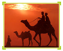 Camel Safari, Rajasthan Travel Holidays