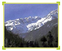 Manali Holiday Packages