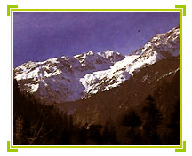 Manali Travel Holidays