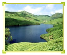 Munnar Backwaters, Kerala Holiday Vacations 