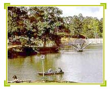 Shillong Travel Vacations