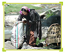 Ladakh Travel Packages